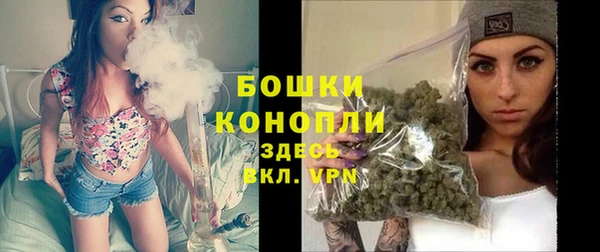 Альфа ПВП Тында